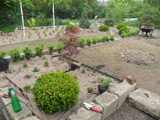 Zahrada Miletín - realizace